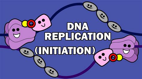 youtube dna replication